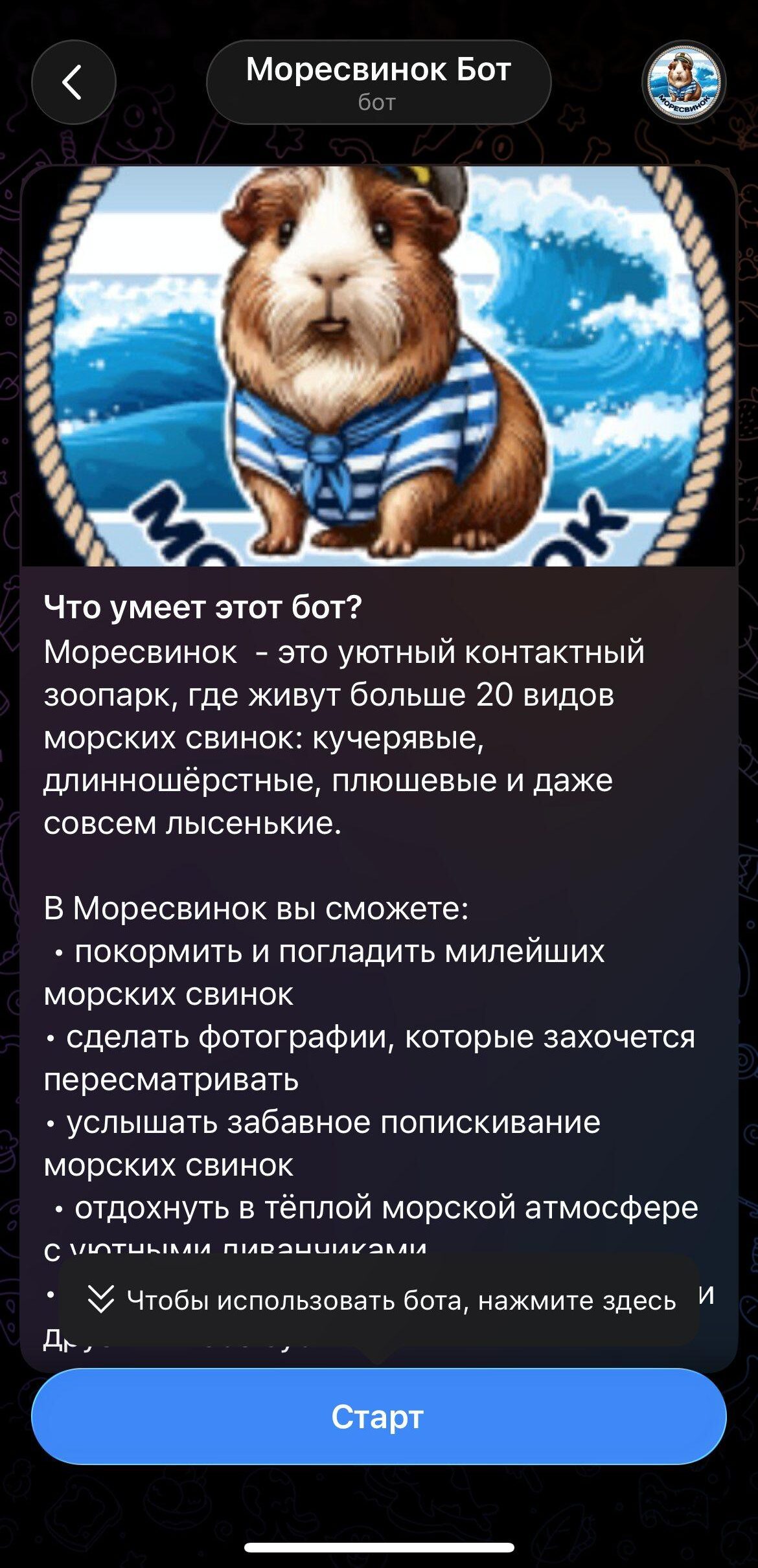 Пример бота участника